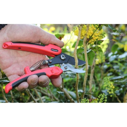 Darlac Compound Action Pruners